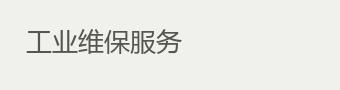 工业维保服务
